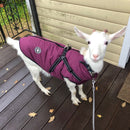 Stylish Warm and Cozy Waterproof Winter Coat for Dog