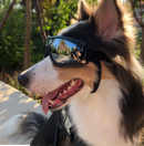 Stylish waterproof windproof sunscreen UV dog glasses