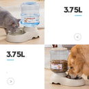 Convenient and Hygienic Solution Dog Drinking Machine