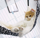 Comfortable Cozy Cat Cage With Hammock Hanging Nest
