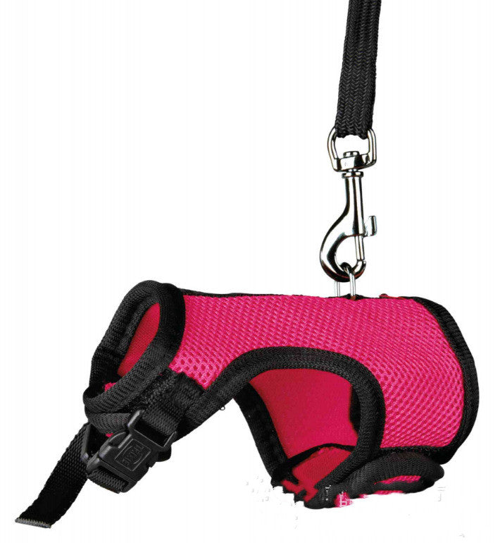 Stylish functional safe and enjoyable Small pet leash