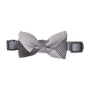 Chic and comfortable Cat accessories bow tie cat collar