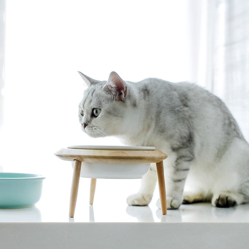 Ceramic cat bowl