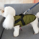 Stylish Warm and Cozy Waterproof Winter Coat for Dog
