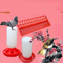 Attractive Beautiful and Stylish Bird Feeding Trough