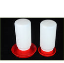 Attractive Beautiful and Stylish Bird Feeding Trough