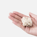 Tofu Cat Litter Dust-Free Clumping Corn Pet Supplies