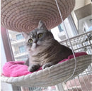 Cat Climbing Frame Cat Litter Cat Tree Cat Jumping Platform