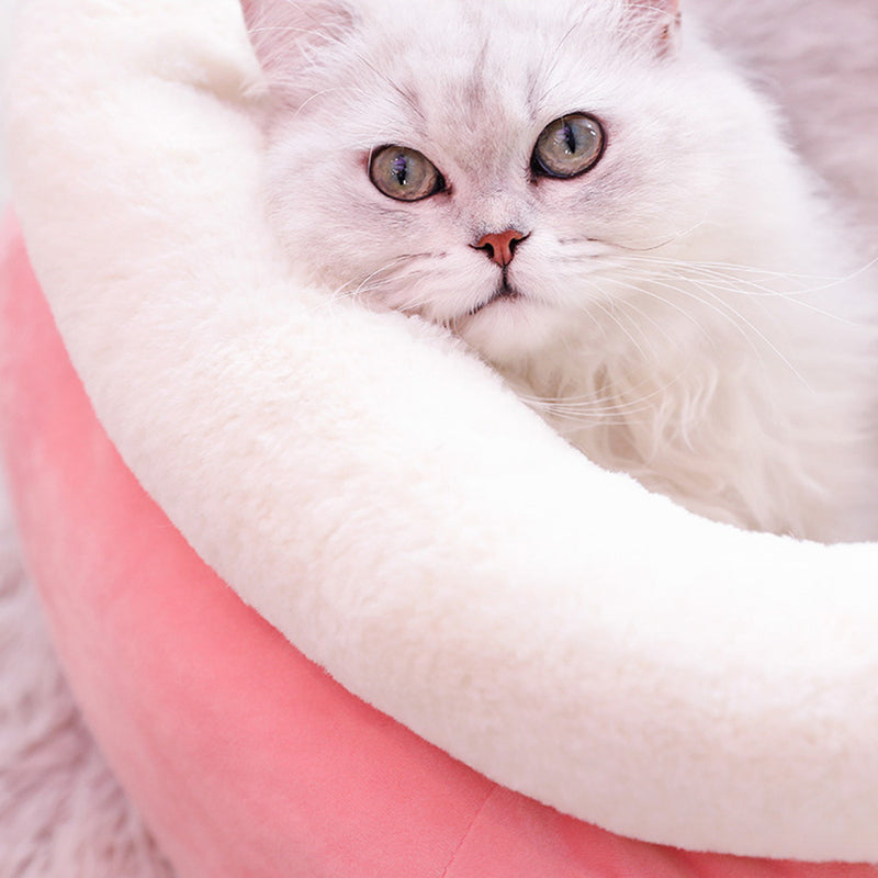 Comfortable Cozy and Warm Winter Cat Litter for your friend