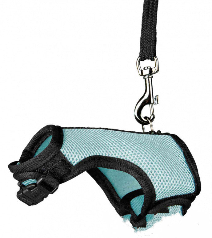 Stylish functional safe and enjoyable Small pet leash