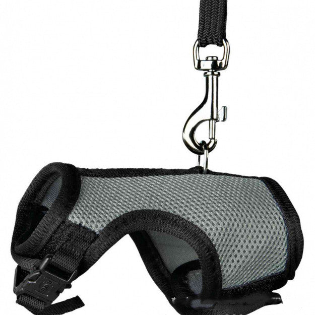 Stylish functional safe and enjoyable Small pet leash