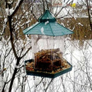 Attractive and Secure Waterproof hanging bird food box