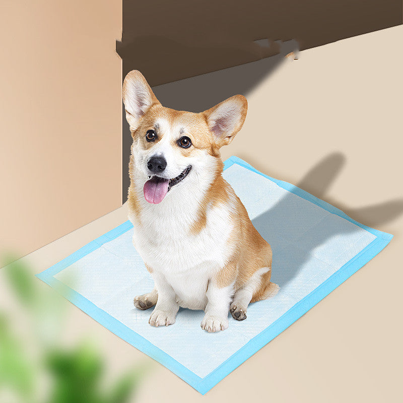 Reliable and Convenient Pet Hygiene Absorbent Dog Pad