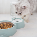  Stylish and functional, perfect Dog bowl for pet's feeding
