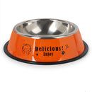 Durable and Automatic Feeding Stainless Steel Dog Bowl