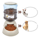 Convenient and Hygienic Solution Dog Drinking Machine