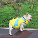 Beautiful Bright Color Contrast Dog Life Jacket Swimsuit