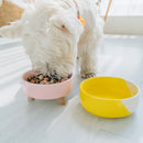 Stylish, durable, and perfect Dog and cat ceramic bowl