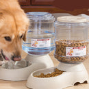 Convenient and Hygienic Solution Dog Drinking Machine