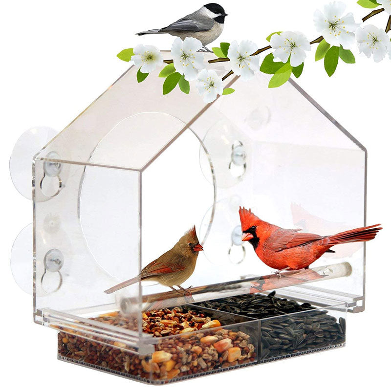 Live Camera Bird Feeder Buddy Smart Bird Feeder With Camera