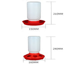 Attractive Beautiful and Stylish Bird Feeding Trough