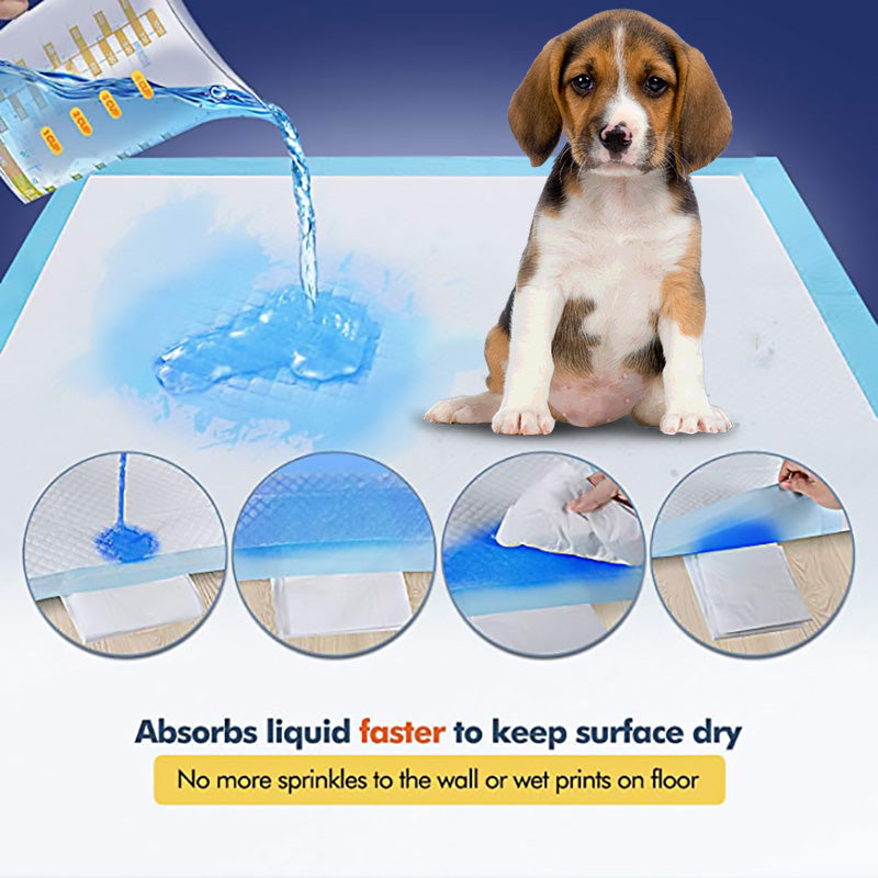 Reliable and Convenient Pet Hygiene Absorbent Dog Pad