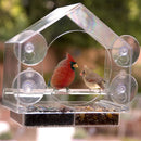 Live Camera Bird Feeder Buddy Smart Bird Feeder With Camera