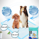 Reliable and Convenient Pet Hygiene Absorbent Dog Pad