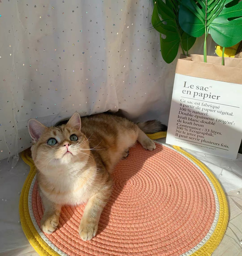 Sisal Cat Scratching Board Cattery Decoration Mat.