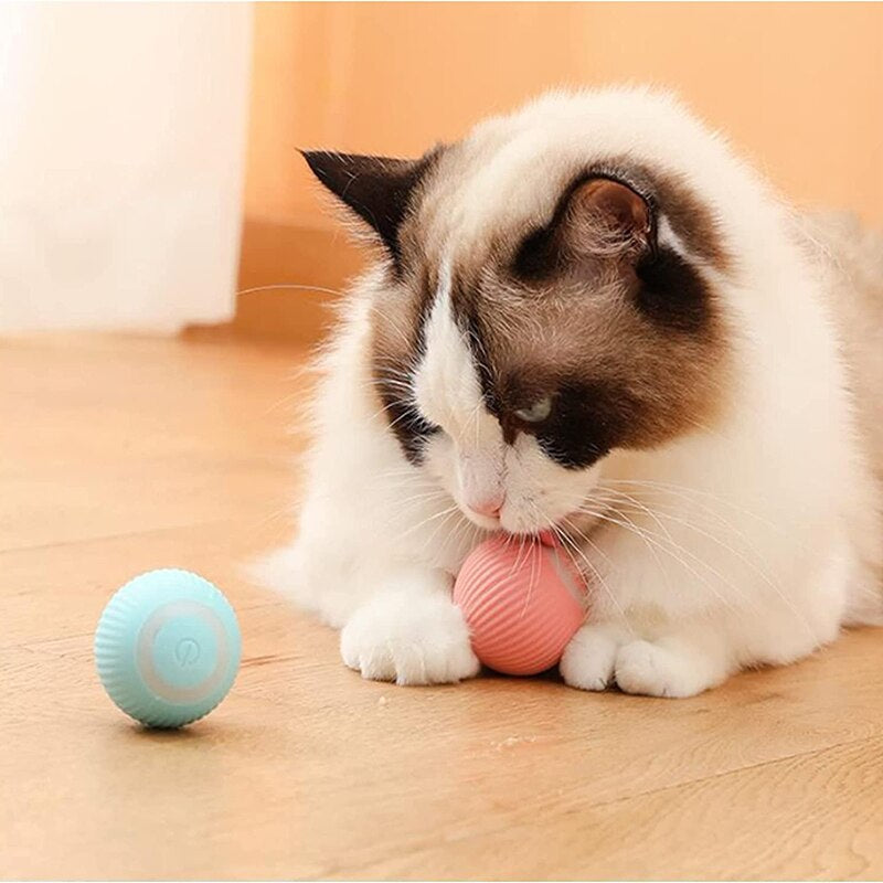 Electric Dog Toys Smart Puppy Ball Toys for Cat Small Dogs Funny Auto Rolling Ball Self-Moving Puppy Games Toys Pet Accessories