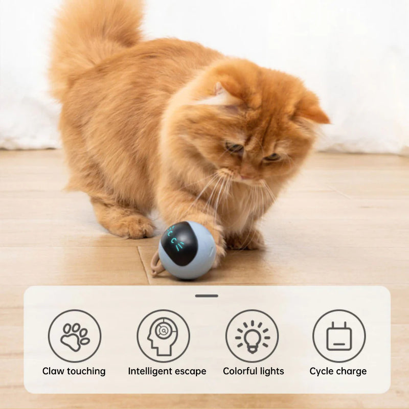 Automatic Cat Ball Toys Interactive Electric USB Rechargeable Self Rotating Indoor Teaser Selfplay Exercise Toys for Pet Kitten