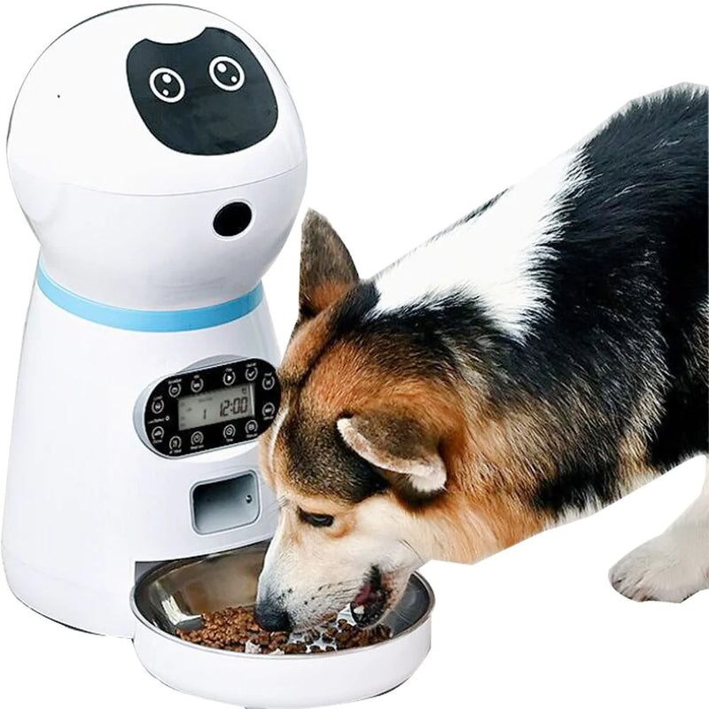 Smart Automatic Pet Feeder LCD Screen Timer with Voice Record Stainless Steelfor Dog Food Bowl Cat Food Dispenser